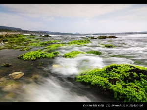 兩張流，「潮」