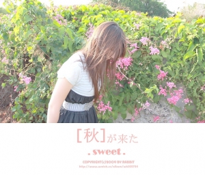 ｜Sweet｜秋が来た～