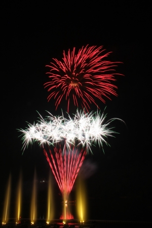 阿~~我竟然升上了高級會員