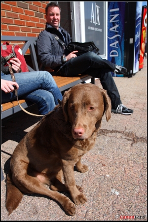 米國＆加拿大之旅