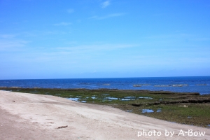 夏海