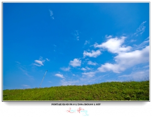 花見天元。20090304淡水天元宮