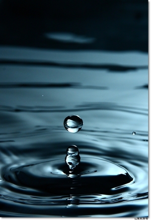 ●●●╰╮水舞足蹈╭╯●●●By雙胞胎爸