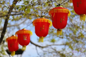 中秋節快樂 --- Howado