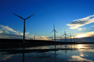 六月三十日的高美濕地