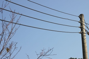 士林官邸隨拍