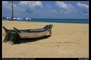 2007.07.03麗星郵輪澎湖首航之旅part2