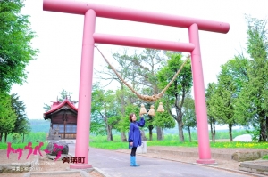 smile Japan (貳)美瑛町