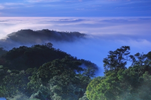 苗栗130線道~雲舞~