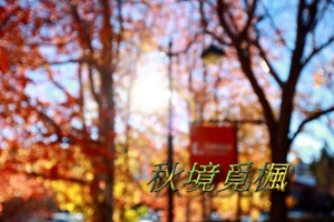 秋楓覓境之旅