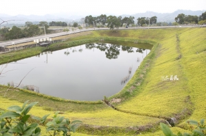 0212台中心之芳庭