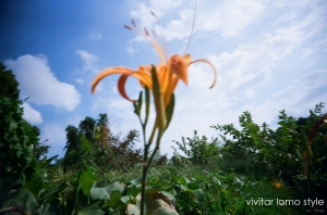 VIVITAR LOMO STYLE