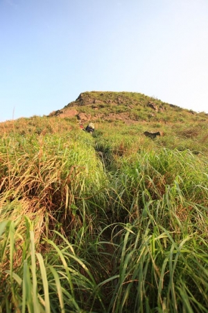 東北角S彎道兼花序