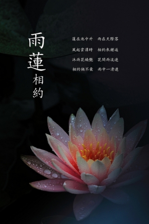 雨、蓮 有約