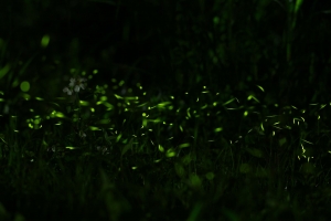 ‎4/19 PM20:00 石碇 夜晚陰時多雲偶陣雨 溼度:100%↑