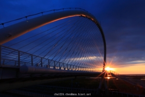 存摺豎琴團-交作業(傑克小陳)