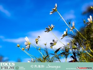 上帝的部落 泰雅的故鄉 - 司馬庫斯
