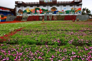 〔16–35L〕花東縱谷－大地彩衣