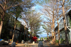 枋寮藝術村隨拍