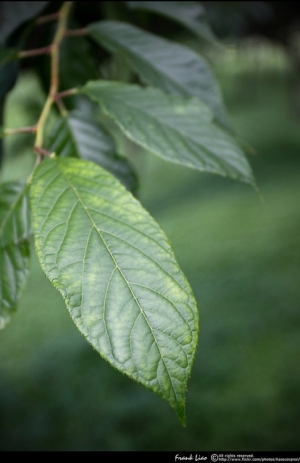 努力找到一片自己的天空