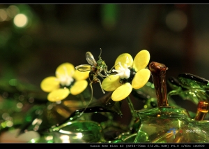 2011.10.5 鹿港玻璃廟-重陽節點燈祈福