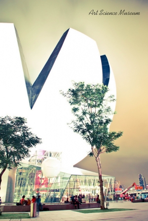 濱海灣藝術科學博物館