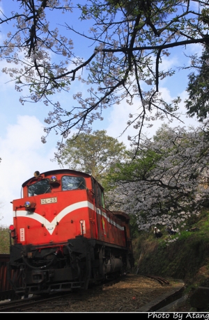 旅拍 - 近期風景精選 ^^
