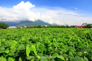 鐵馬環台七日行 PART2
