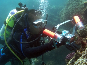 夏天熱啊！潛水去拍最涼快