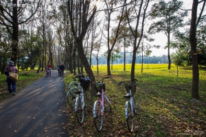 台南 熱氣球嘉年華