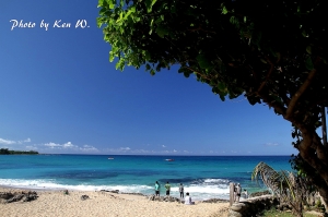 南台灣的夏天~~~