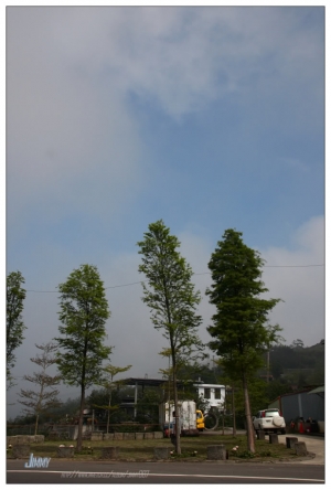 阿里山‧賞櫻行