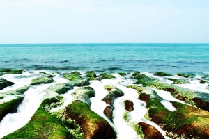 [60D]老梅一張流