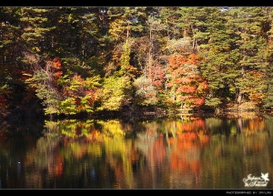 日本東北-磐梯高原五色沼