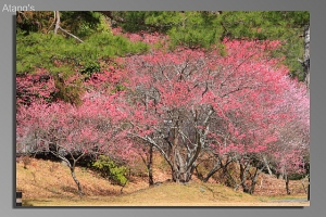 2009 - 2010 作品回顧