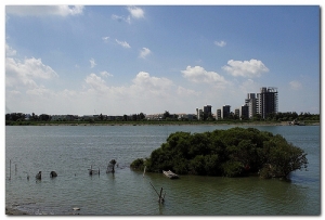 20100814鹽水溪北岸