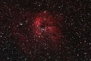 IC410 蝌蚪星雲