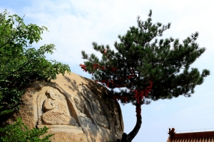 遼寧 海棠山風景區 東藏 普安寺 (2)