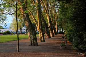 Jian66~~日出?日落?~~皆美。