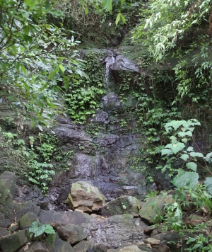 [5D III] 板新水庫 & 山間小道 -by jyp.