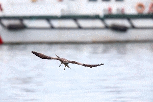 正面對決42連拍動態GIF檔