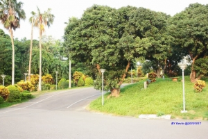 嘉義名都觀光大飯店一偶