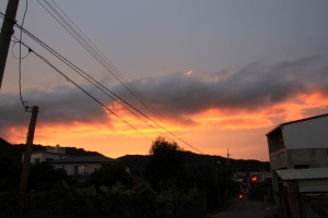 台中新社之<夕陽>比花海好看