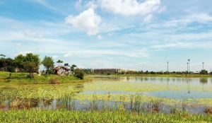 -生態池-海邊-雜拍