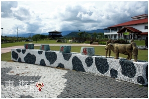 [花蓮]洄瀾秋季小旅行-吉蒸牧場65℃黃金の焠煉