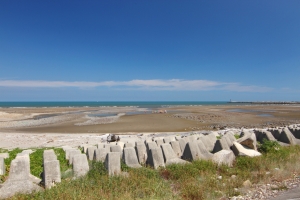 大甲苗圃外海岸