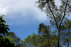 好不容易的特休假－宜蘭之旅