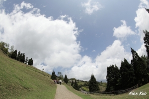 Canon 8-15mmF4 魚眼@ 青青草原