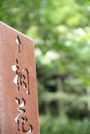 皎皎桐花猶勝雪