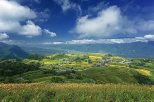 花蓮金針山2日遊